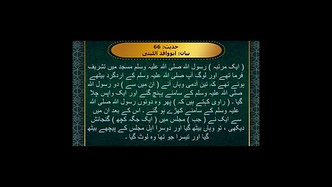 Sahih Bukhari Urdu (صحیح بخاری شریف) Book of Knowledge (کتاب علم کے بیان میں){حدیث:66} #shorts 1080