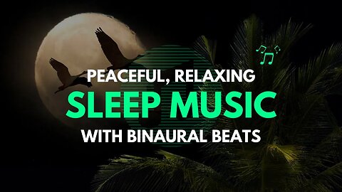 Calming Sleep Meditative Music : Background Music For Video Editing