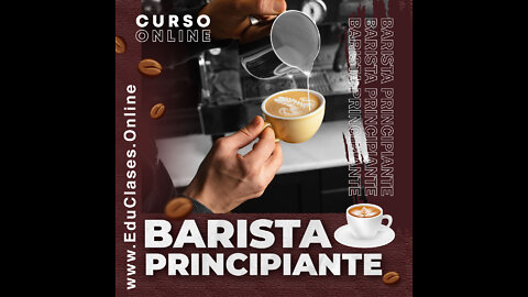 Barista Principiante (2022)