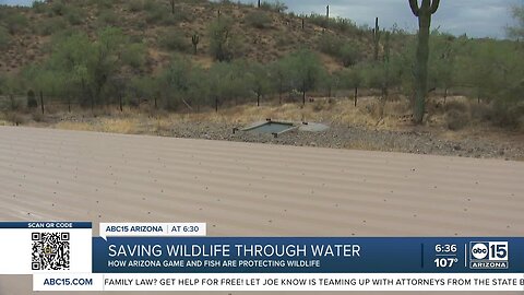 Keeping Arizona wildlife hydrated as the climate turns drier