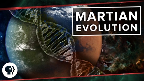 Martian Evolution