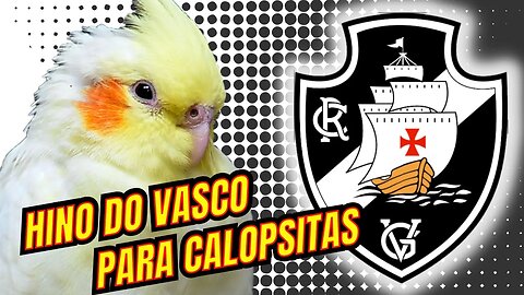 HINO DO VASCO PARA CALOPSITA