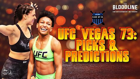 UFC Vegas 73: Picks & Predictions