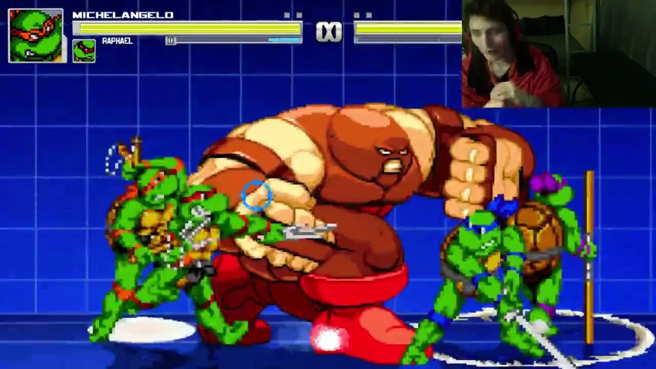 Teenage Mutant Ninja Turtles Characters (Leonardo And Raphael) VS ...