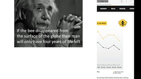 A Third of the Honeybee Colonies Died Last Year! Industrial Destruction of Earth