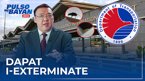 Atty. Roque on NAIA pests: Dapat i-exterminate na ang nagpapatakbo sa DOTr, nakakahiya kayo