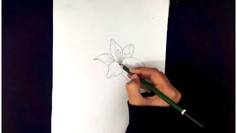 How To Draw Flowers Easy Step