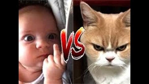 baby vs cat - funny video - part 2