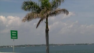 'Rally for the manatees' held in Stuart