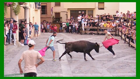 ÁGREDA ( SORIA ) TARDE VACAS EN CALLE ( LUNES 2 OCTUBRE 2023 ) GANAD.HNOS.MARCEN