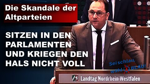 Die Skandale der Altparteien Andreas Keith AfD