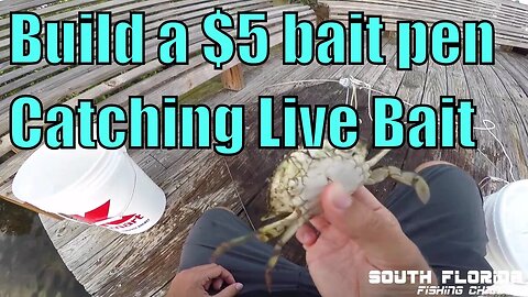 Build your own live bait pen + catching bait pin fish