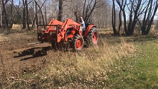 Further growout field prep