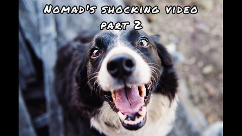 Nomad's Shocking Video part 2