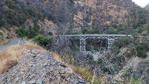 Bridges of Sequoia Redwood Forrest are OUTSTANDING