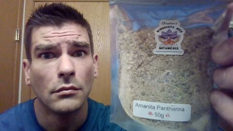 Amanita Pantherina Powder Review (MN Nice Botanicals)