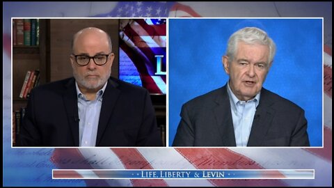 Newt: Liberals' Worldview Is Shaped By Thinking The Lion King Is a Documentary