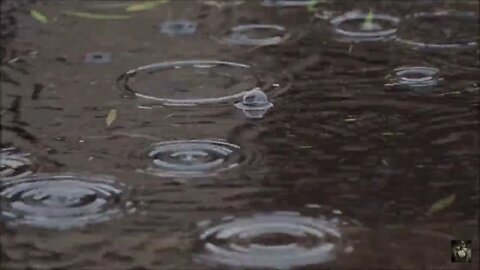 Relaxing Rain. #whitenoise Sounds that can help with relaxing and more. #ASMR