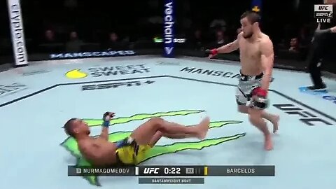 Raoni Barcelos é NOCAUTEADO de FORMA BRUTAL por Umar Nurmagomedov no UFC VEGAS 67