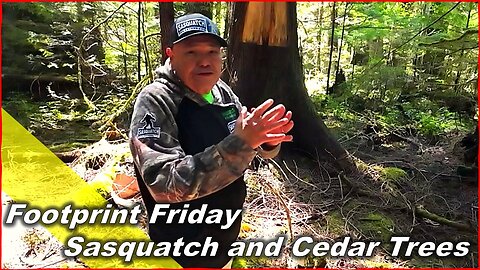 Sasquatch and Cedar Trees with Tom Sewid