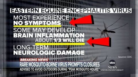 Fear Porn Deadly Mosquito "Fake Virus" With No Symptoms 33% Death Rate Voluntary Lockdowns⭕SEE DESC⭕