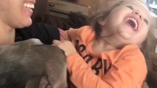 Cute Little Girl & a tired Pitbull