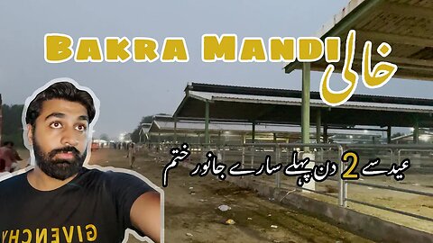 Eid sy 2 din pahly hi mandi say janwar khatam | Bakra Mandi 2023 | mandi ki surtehal