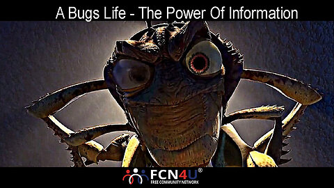 FCN4U and A Bugs Life