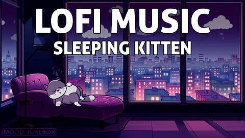 Lofi Music for Study, Read and Work & Sleeping Kitten 😻💤