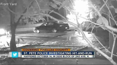 St Pete PD looking for hit-and-run suspect