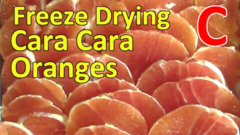 Freeze Drying Cara Cara Orange Slices