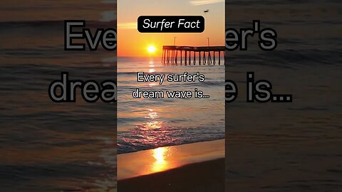 Surfer Fact