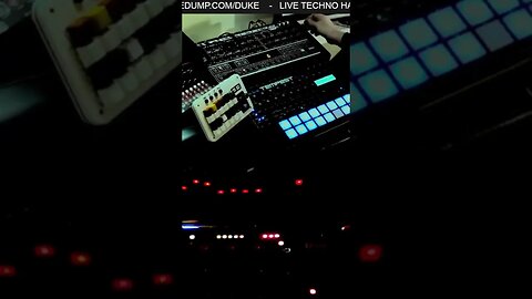 Xmas Duke - Acid Chirp 004 #techno #music #acid #rave #uk #beatmaker #tekno #live #tb-303