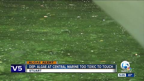 High toxin levels sampled at Central Marine