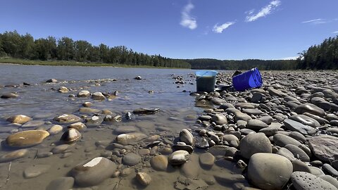 Panning gold North Saskatchewan River Aug 31