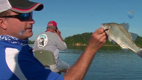 MidWest Outdoors TV Show #1620 Kentucky Lake White Bass at the Moors Resort