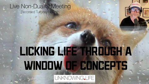 "Licking Life through a window of concepts" - Live Non-Duality Meeting Tues Nov 8th #nonduality