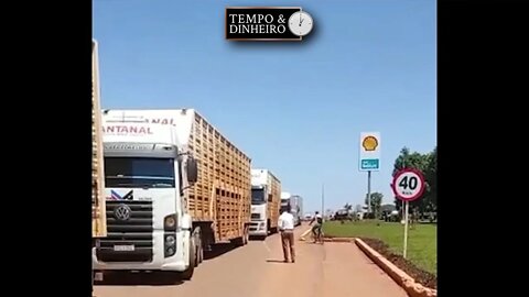 Bloqueio de caminhoneiros impede transporte de animais vivos no MT