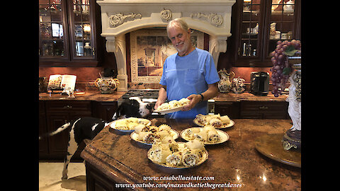 Great Danes Have Fun Watching Lasagne Roll Up with Shrimp Chicken and Meat