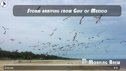 Storm arriving from Gulf of Mexico