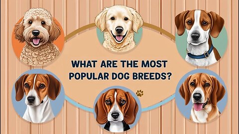 What Are the Most Popular Dog Breeds?🌟🐕