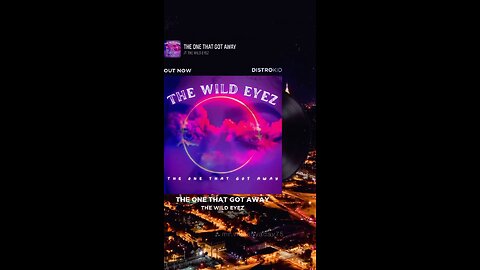 THE WILD EYEZ - THE ONE THAT GOT AWAY ( EDM)