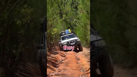 The mighty Creb track! What a journey to the top of qld #nissanpatrol #4wd #travelvlog #australia