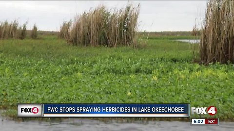 FWC stops spraying herbicides in Lake Okeechobee