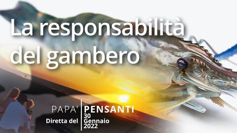 11 - La responsabilità del gambero (Diretta del 31 Gennaio 2022)