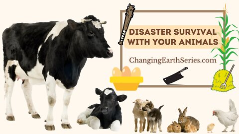 Surviving Disaster with your Animals