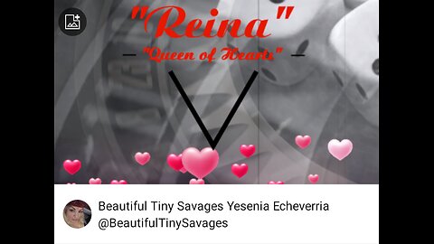 "Mini Dove"Reina Queen of Hearts 👑❤️‍🔥💝❤️🕊️ Tanjiro Eats All The Seeds 🙉 Come See 🎶🎼