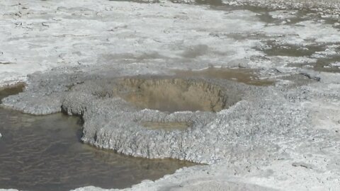 Aurum Geyser in Yellowstone