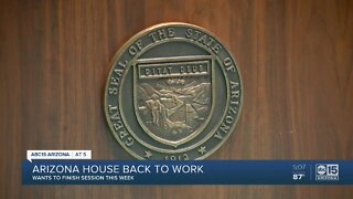 Arizona House back to work