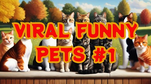 Viral Funny Pets #1